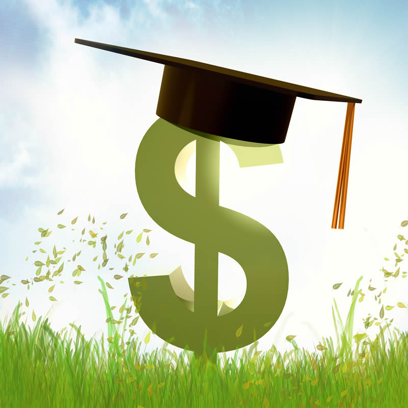 Green dollar sign with graduation cap in a field on a sunny day.