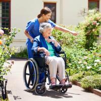 An elderly woman in a wheelchair looking at the garden.