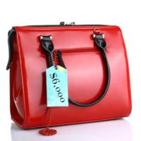 A luxury purse with a $6,000 price tag.