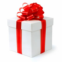 Present wrapped with big red ribbon and bow.